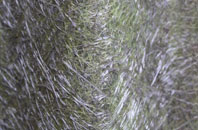 Buckholm fibreglass roof work